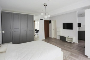 Apartament cu o camera Catedral Residence